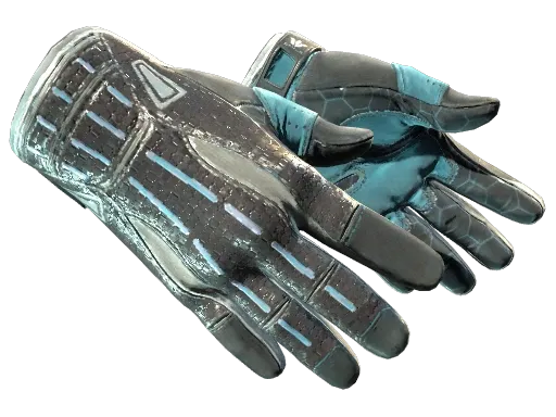 Skin's image