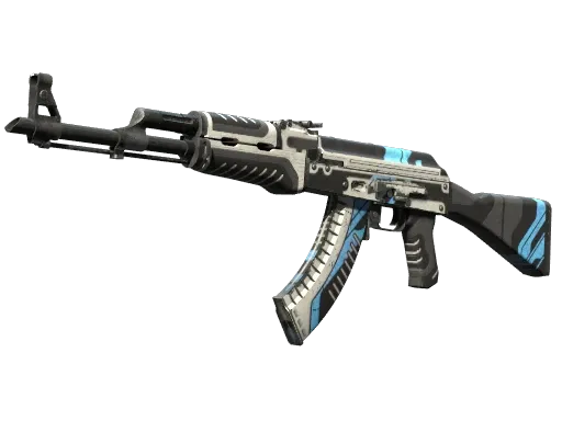 Skin's image