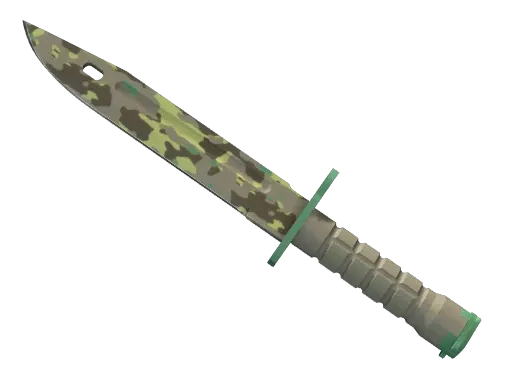 Skin's image