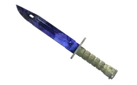 Skin's image