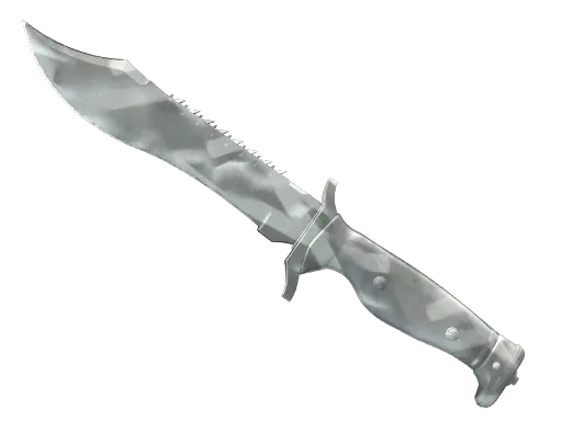 Skin's image