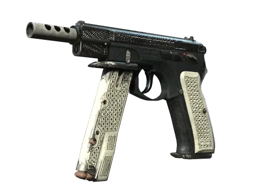 Skin's image