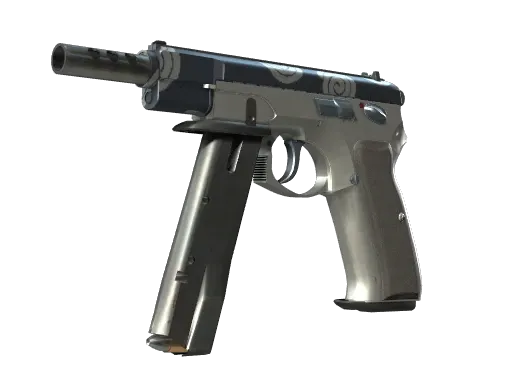 Skin's image