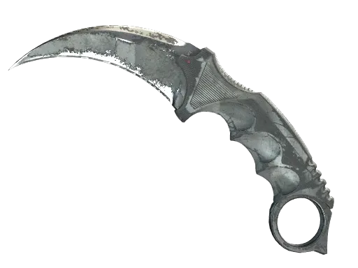 Skin's image