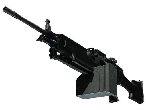 Skin's image
