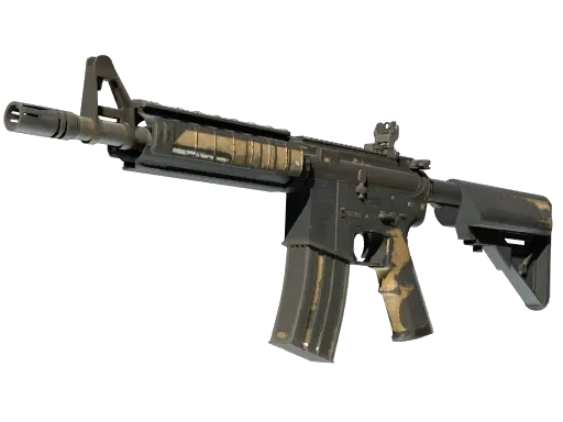Skin's image