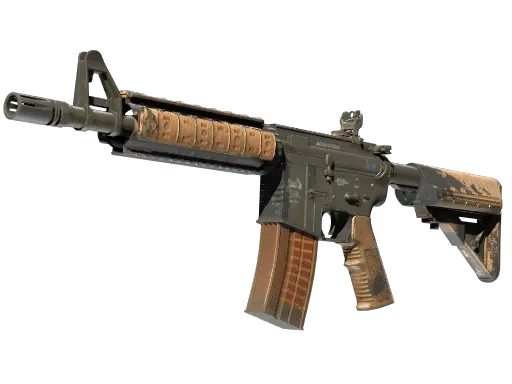 Skin's image