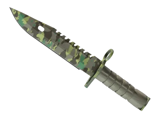 Skin's image
