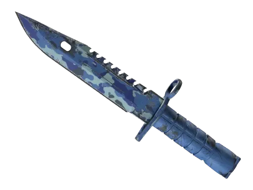 Skin's image
