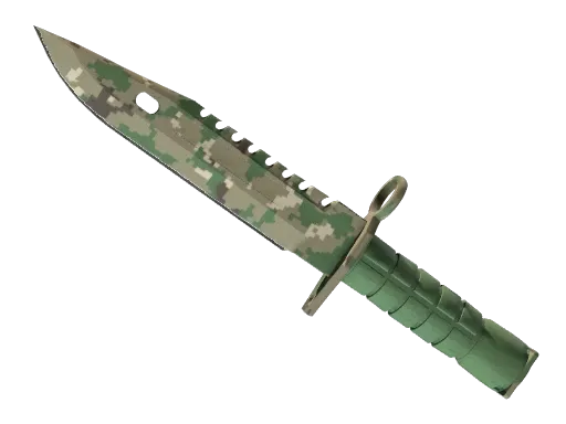 Skin's image