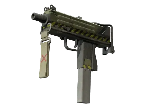 Skin's image