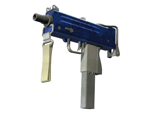Skin's image