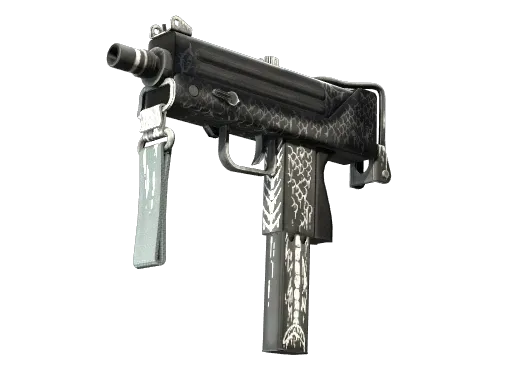 Skin's image