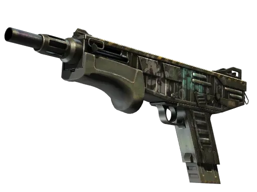 Skin's image