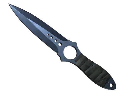Skin's image