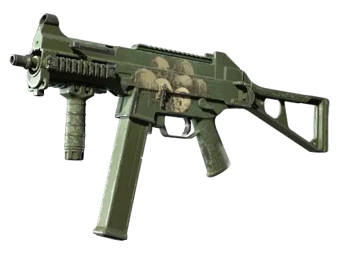 Skin's image