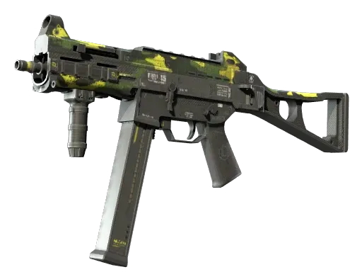 Skin's image