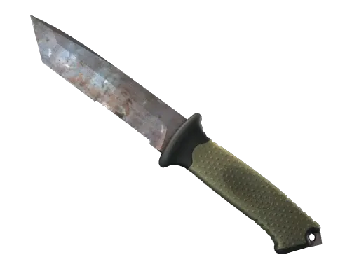 Skin's image