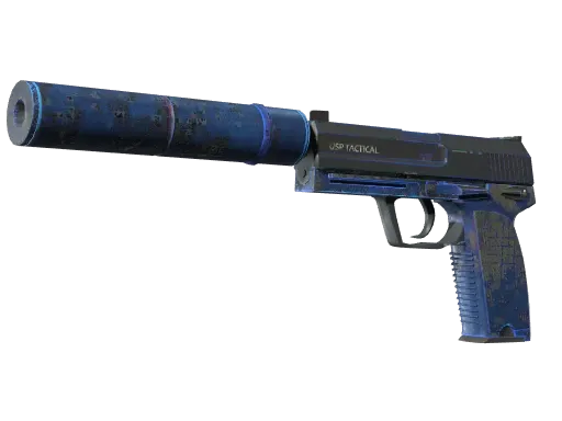 Skin's image