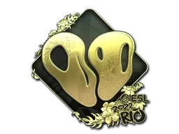 Skin's image