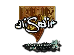 Skin's image