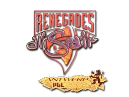 Skin's image