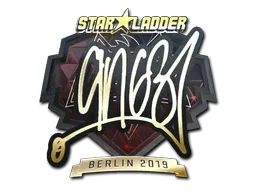Skin's image