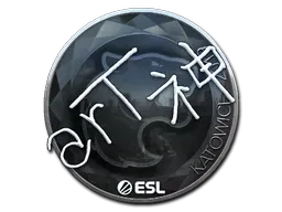 Skin's image