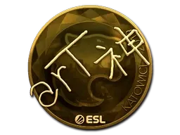 Skin's image