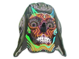 Skin's image