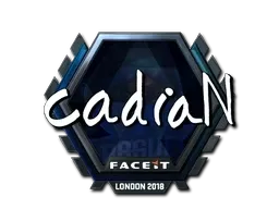 Skin's image