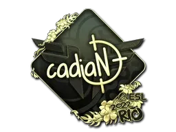 Skin's image