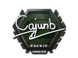 Skin's image