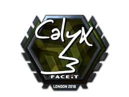 Skin's image