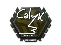 Skin's image