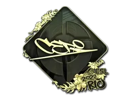 Skin's image