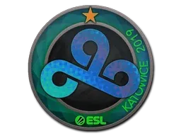 Skin's image
