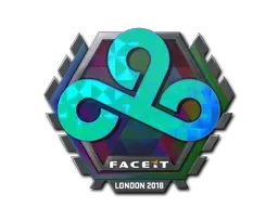 Skin's image