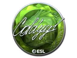 Skin's image