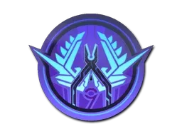 Skin's image