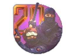 Skin's image
