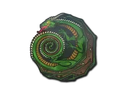 Skin's image