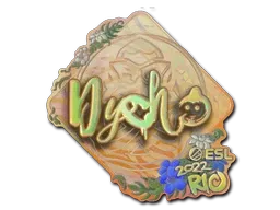 Skin's image