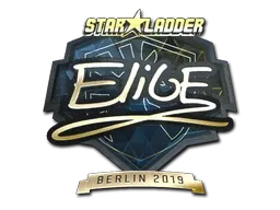 Skin's image
