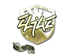Skin's image