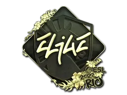 Skin's image