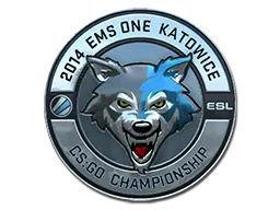 Skin's image