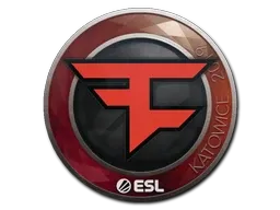 Skin's image