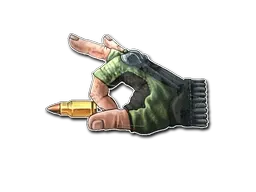 Skin's image