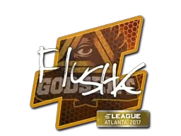 Skin's image